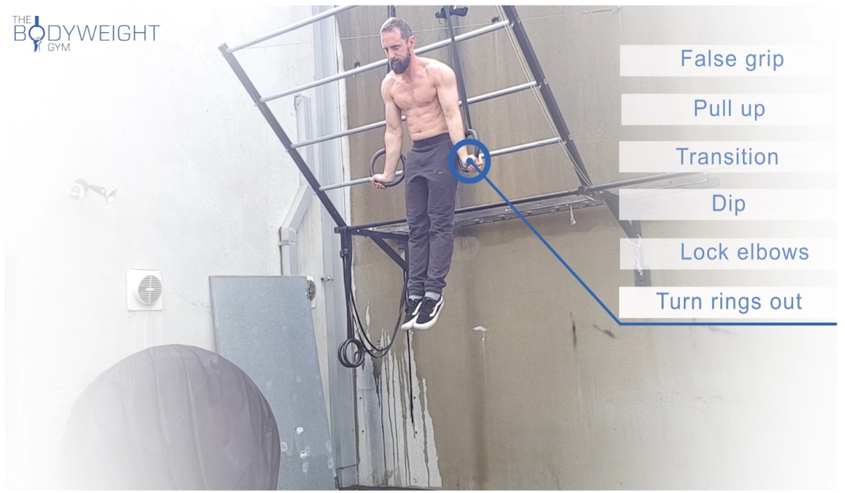 The Ring Muscle Up — The Bodyweight Gym
